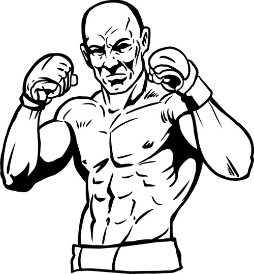 500x538 Octigons Clipart Mma