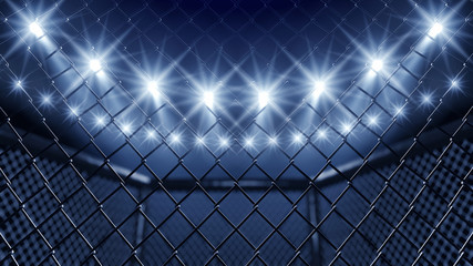 427x240 Search Photos Mma