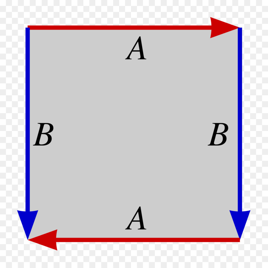 900x900 Strip Real Projective Plane Topology Klein Bottle