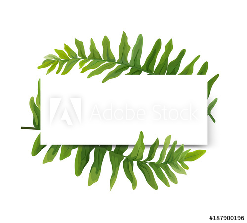 500x451 Floral Modern Vector Card Design Green Polypodiophyta Fern Frond