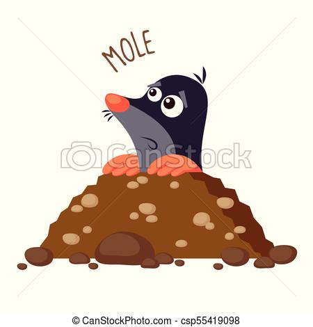 450x470 Mole Vector Illustration Isolated On White Background.