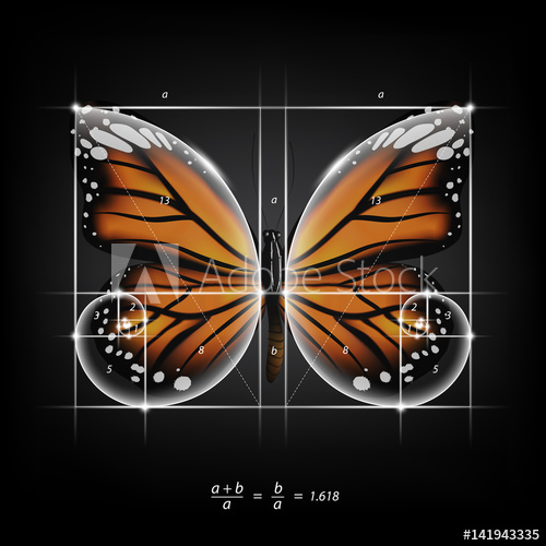 500x500 Golden Section (Ratio, Divine Proportion) And Golden Spiral On