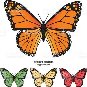 300x300 Monarch Butterfly Vector Art Several Different Sohadacouri