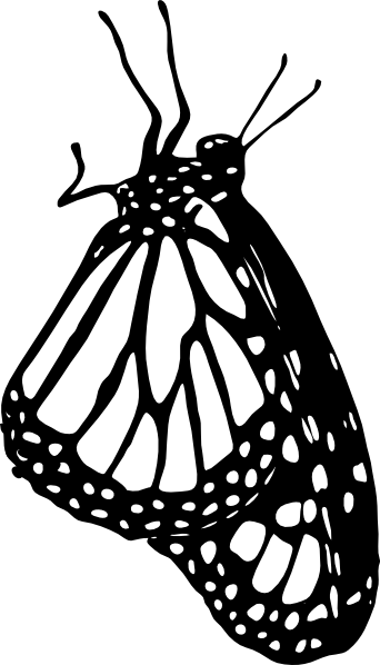 342x598 Monarch Butterfly Clipart Vector Side