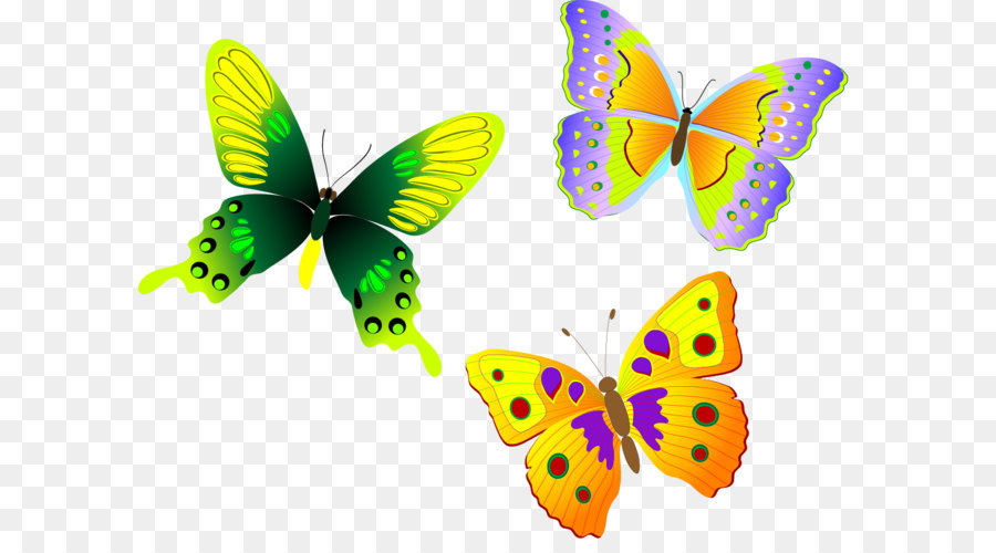 900x500 Monarch Butterfly Euclidean Vector