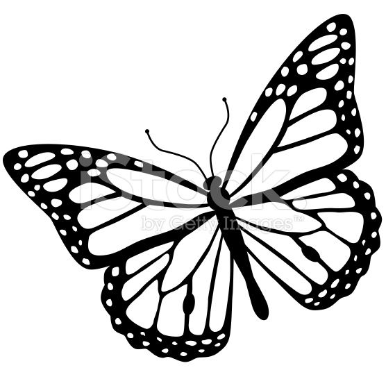 556x556 Monarch Butterfly Clipart Vector Side