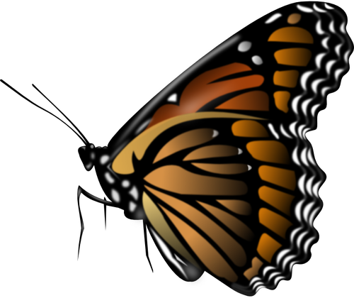 500x420 Monarch Butterfly Vector Clip Art Public Domain Vectors