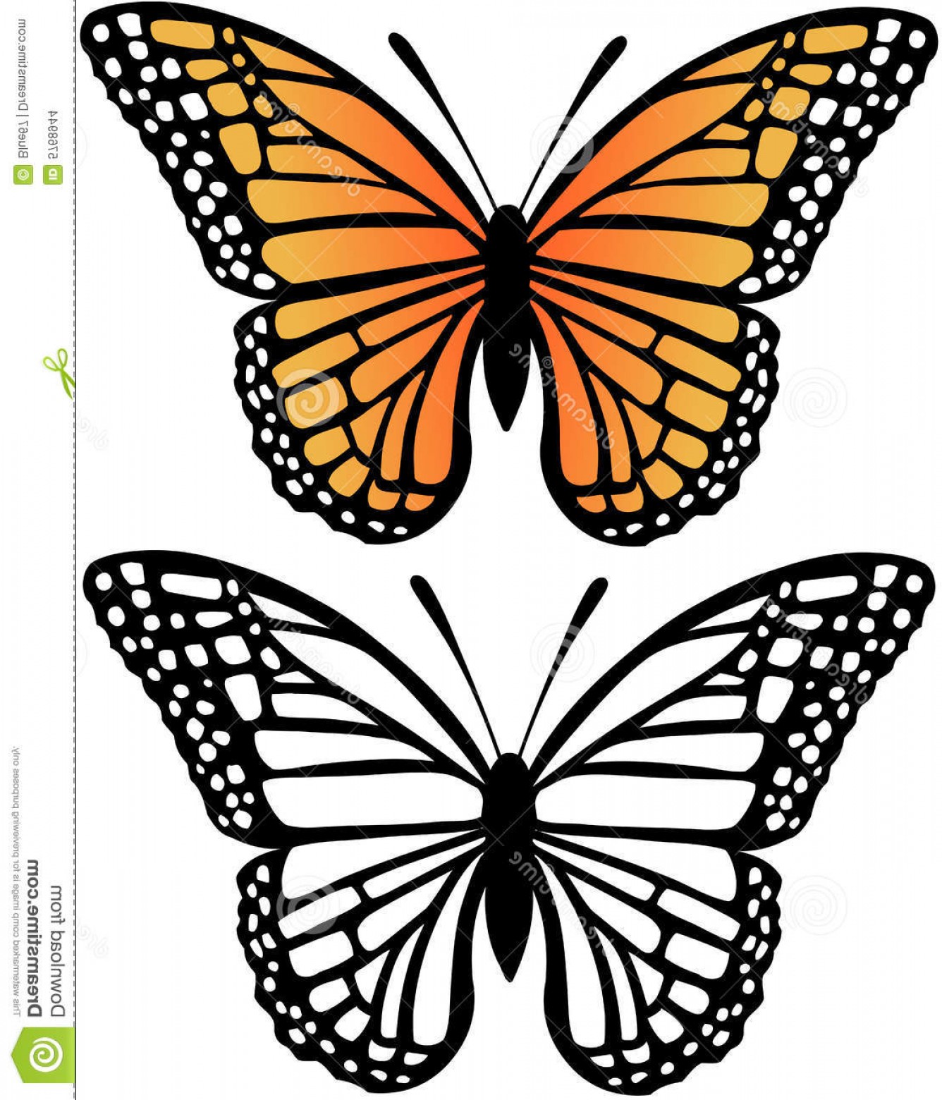 1336x1560 Stock Images Monarch Butterfly Vector Illustration Image Arenawp