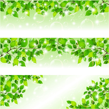 350x350 Money Tree Leaves Free Vector Download (8,798 Free Vector) For