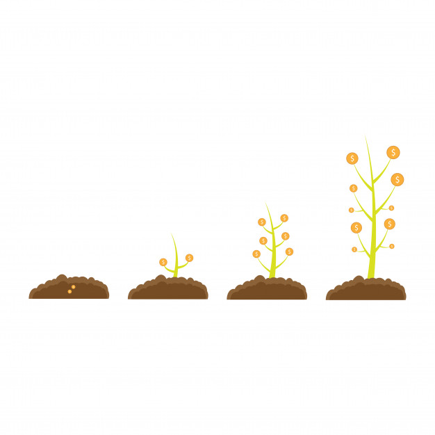 626x626 Money Tree. Vector Premium Download