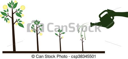 450x207 Watering A Money Tree.