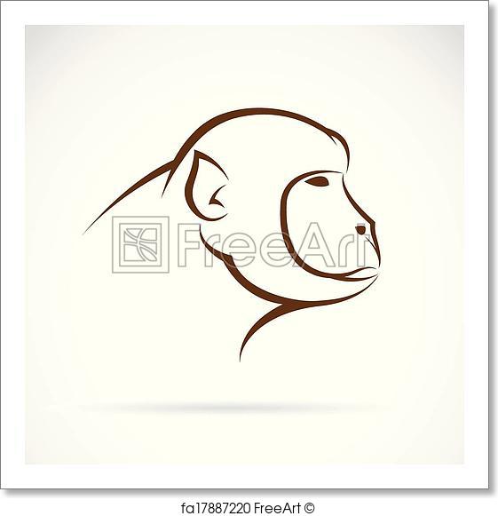 561x581 Free Art Print Of Vector Image Of An Monkey Face. Vector Image Of