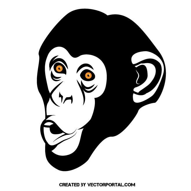 660x660 Monkey Face Vector Image Animal Vectors Monkey And