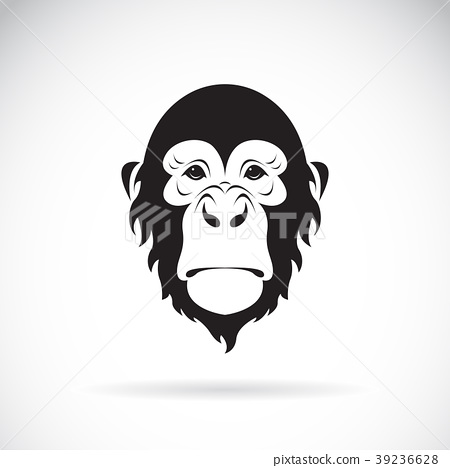 450x468 Vector Of A Monkey Face Design. Animal.