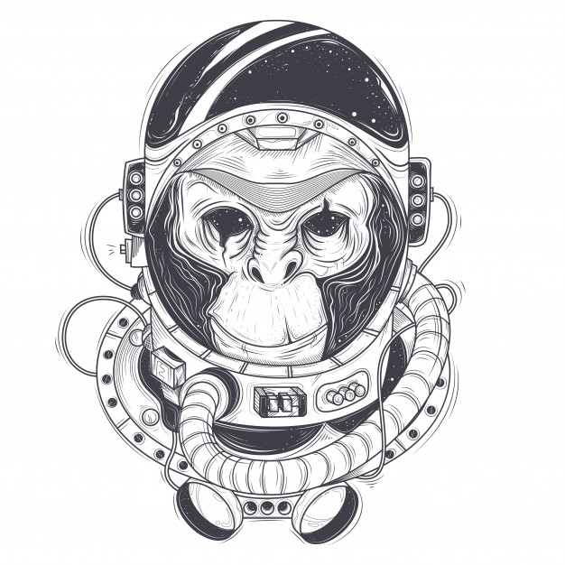 626x626 Monkey Vectors, Photos And Psd Files Free Download