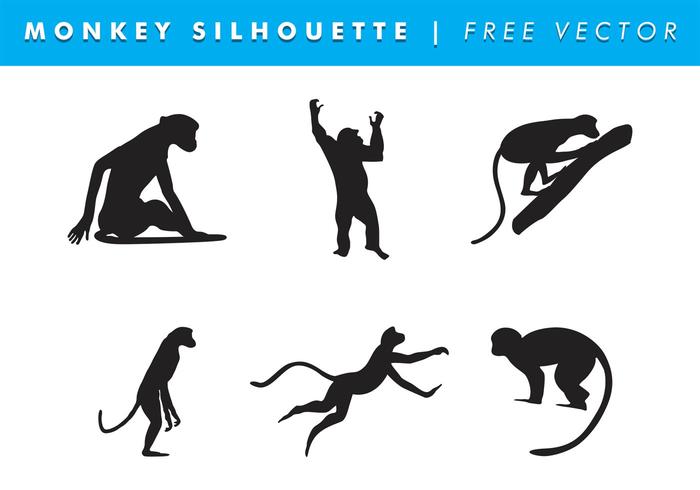700x490 Monkey Free Vector Art