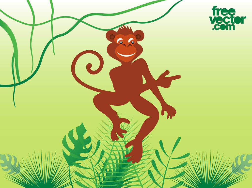 1024x765 Monkey Vector Vector Art Amp Graphics