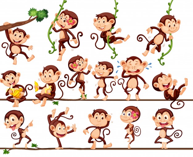 626x510 Monkey Vectors, Photos And Psd Files Free Download