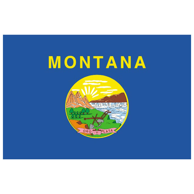 660x660 Montana Vector Flag