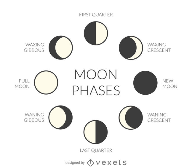 648x570 Illustrated Moon Phases