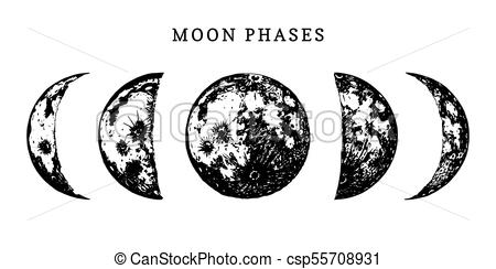 450x244 Moon Phases Image On White Background. Hand Drawn Vector