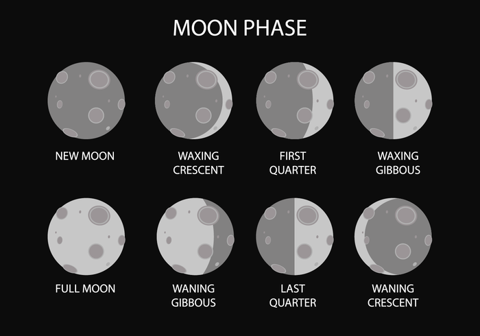 700x490 Free Moon Phase Vector