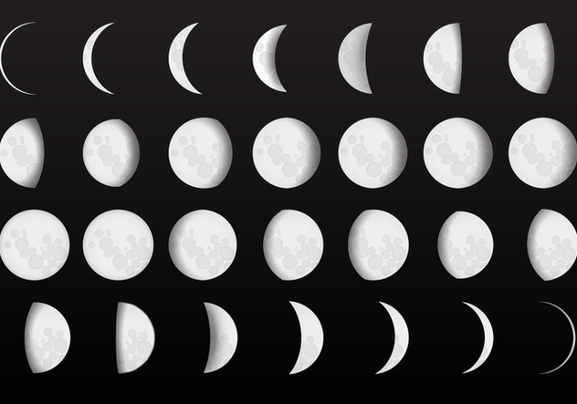 632x443 Complete Moon Phase Vectors Free Vector Download 359053 Cannypic