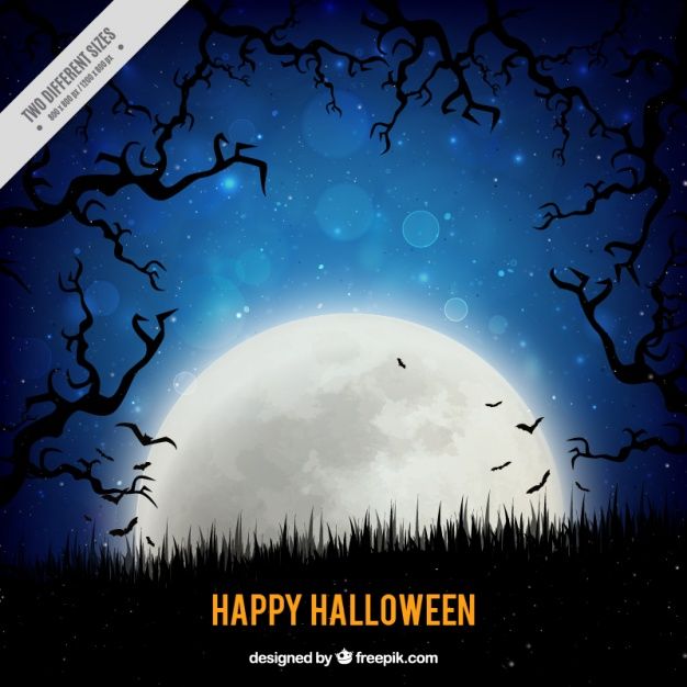 626x626 Full Moon For A Happy Halloween Vector Free Download Halloween