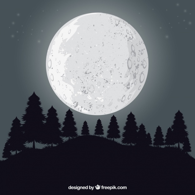 626x626 Landscape Background With Trees And Moon Vector Free Download
