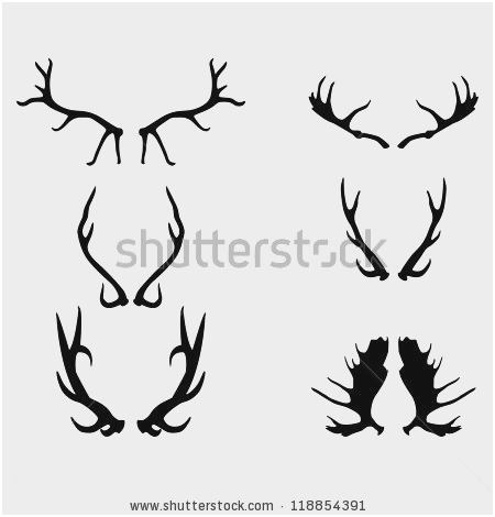450x470 Deer Antlers Vector Beautiful Black Silhouette Antlers Vector Art
