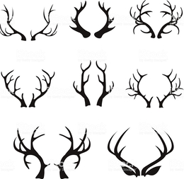 260x253 Download Deer Horn Vector Clipart Deer Moose Antler Deer