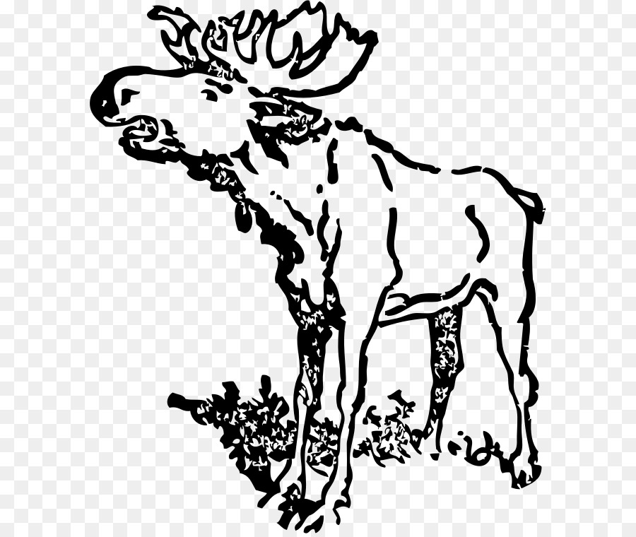 900x760 Moose Clip Art