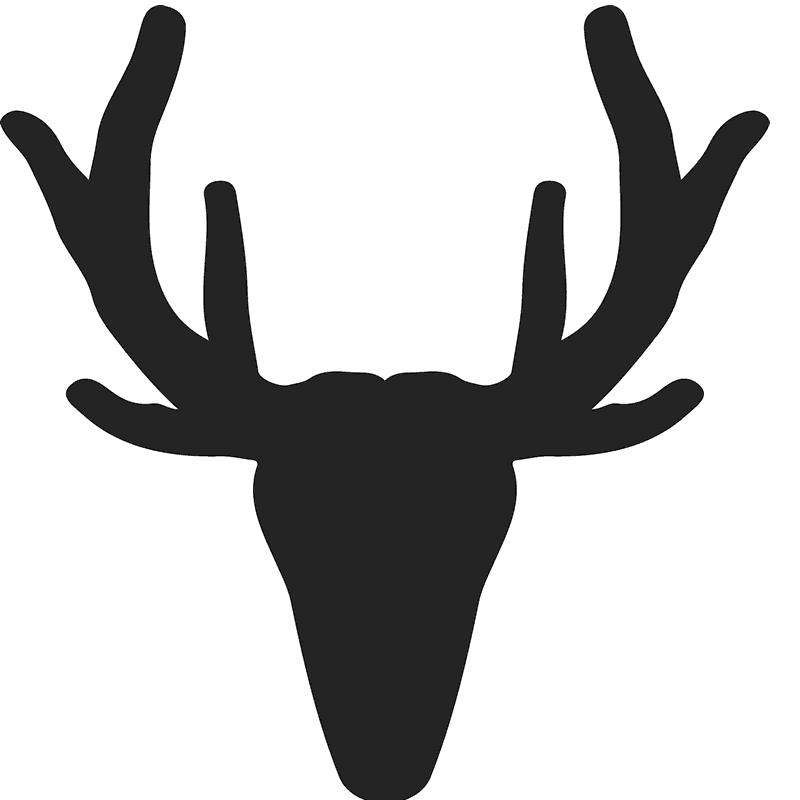 800x800 Moose Vector