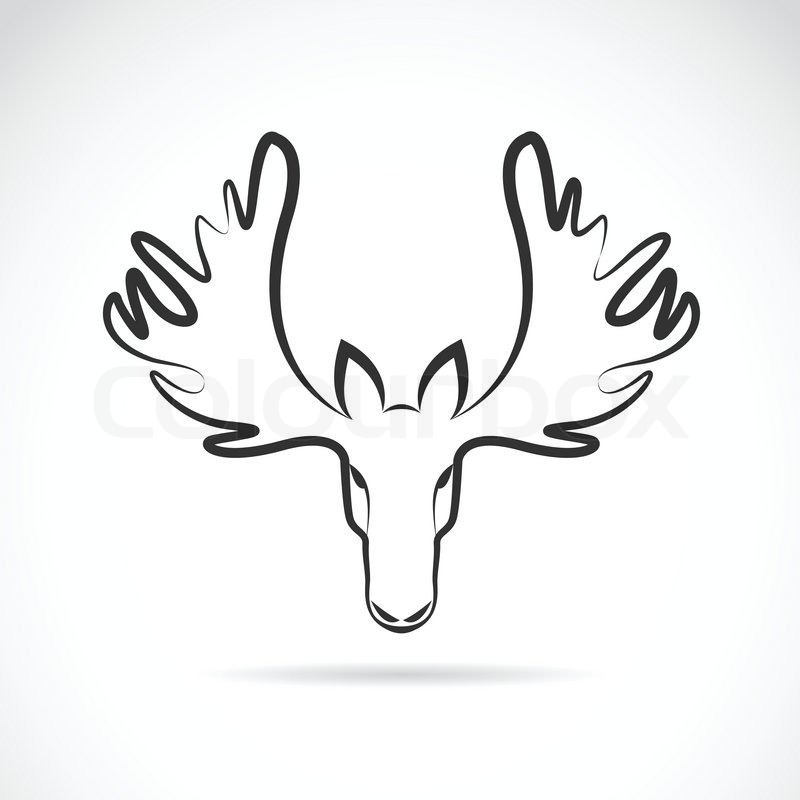 800x800 Vector Images Of Moose Deer Head On A White Background. Stock