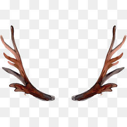 260x260 Antlers Vector Png, Vectors, Psd, And Clipart For Free Download