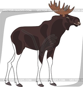 288x300 Moose