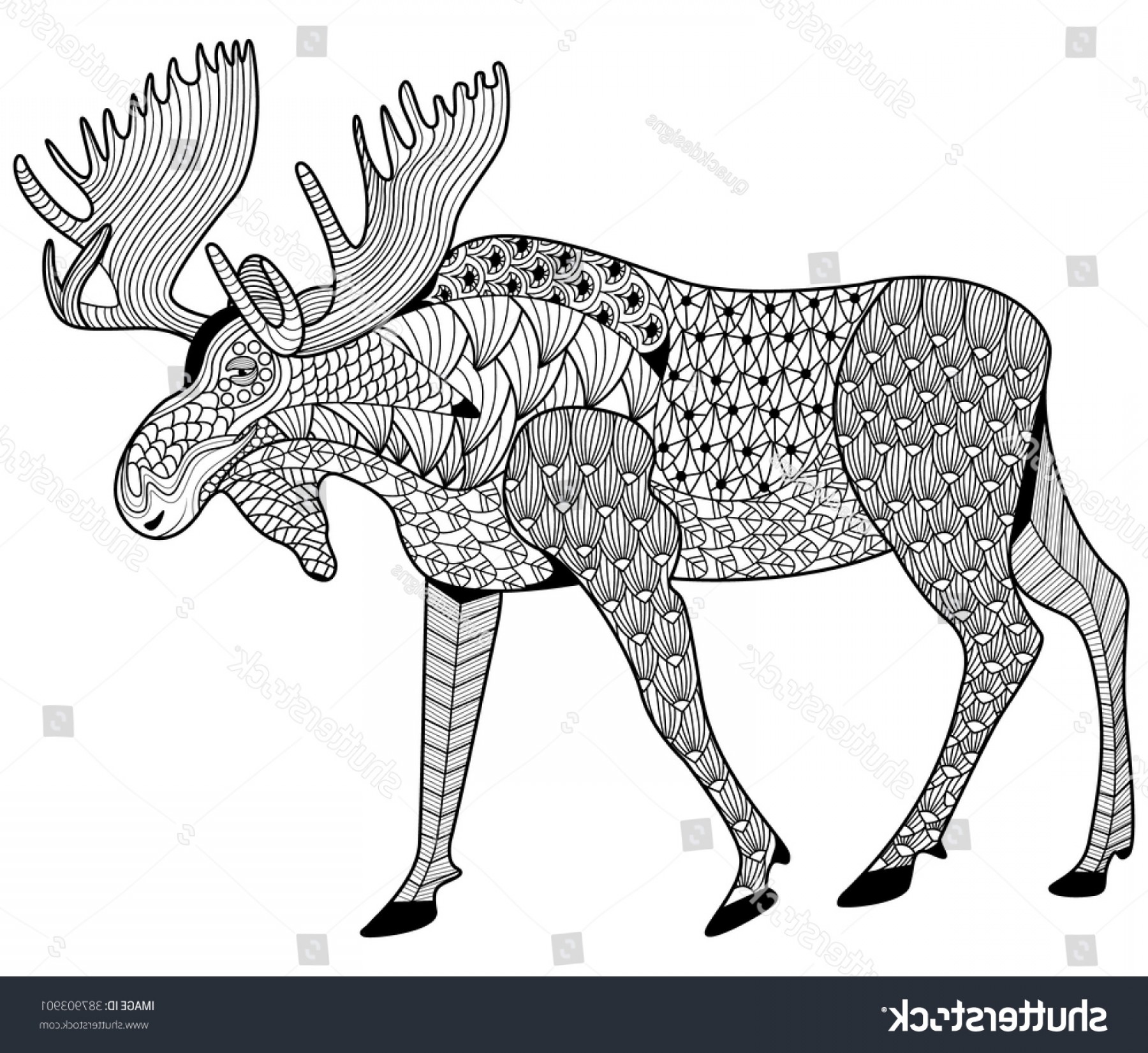 1800x1650 Moose Coloring Pages