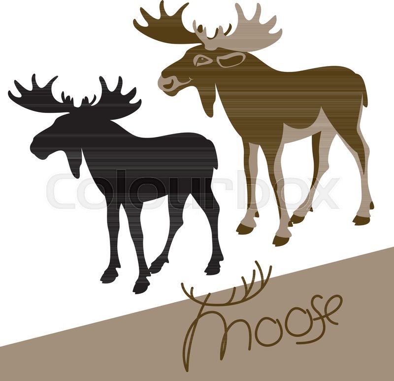 800x773 Moose Vector Illustration Flat Style Profile Side Black Silhouette
