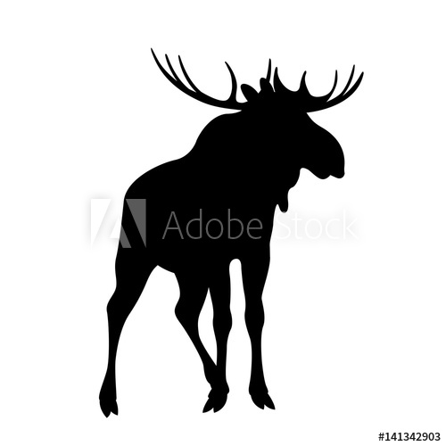 500x500 Moose Vector Illustration Black Silhouette