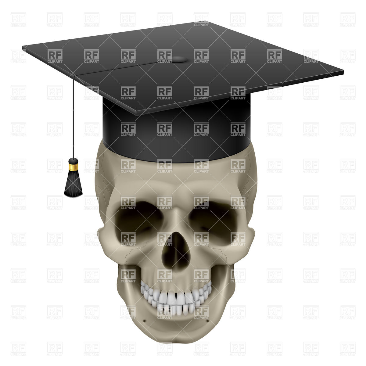 1200x1200 Skull With Graduation Cap, Mortarboard Vector Image Vector