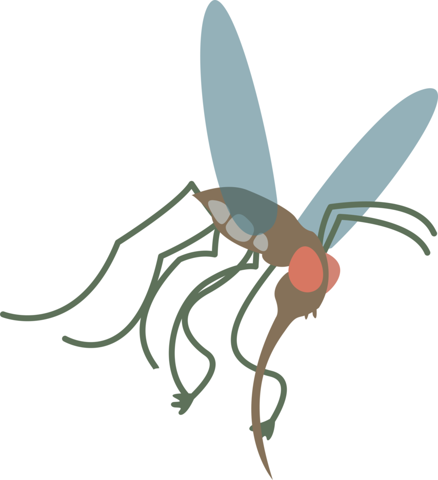 854x936 Mlp Mosquito Vector By Yellowy Cake