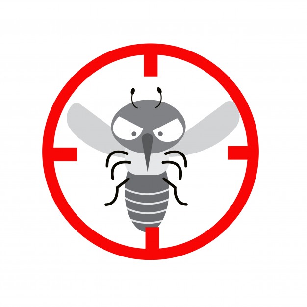 626x626 Mosquito Bite Vectors, Photos And Psd Files Free Download