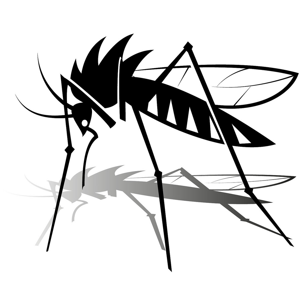 1024x1024 Mosquito Vector Image If You Want To Use This Image Free