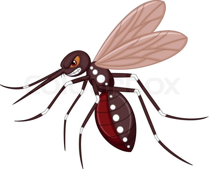 800x647 Angry Mosquito Cartoon Stock Vector Colourbox