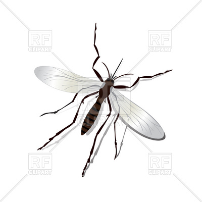 400x400 Realistic Mosquito Vector Image Vector Artwork Of Plants And