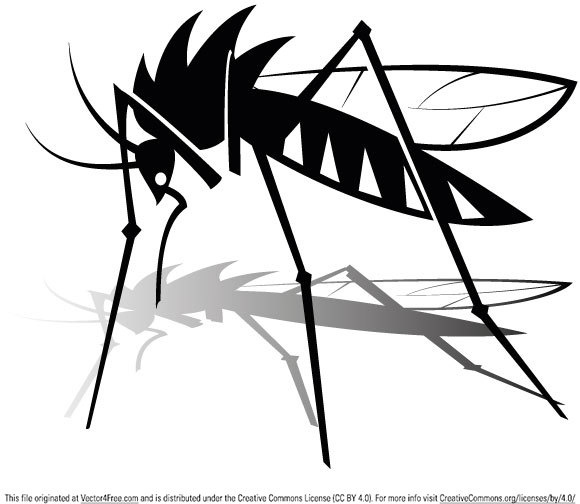 580x504 Free Mosquito Vector Graphics Free Vector In Encapsulated