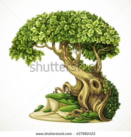 450x470 Moss Clipart Vector