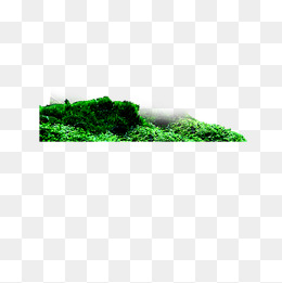 260x261 Moss Vector Png Images Vectors And Psd Files Free Download On