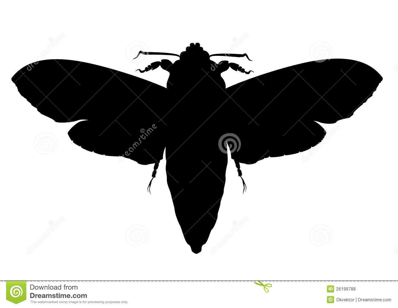 1300x1009 Moth Silhouette