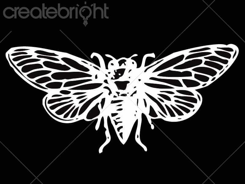 800x600 Moth Vector By Terry Bell In Illustrations Createbright